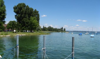 Ufer in Gaienhofen nach der Renaturierung