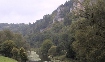 Massenentwicklung der Alge Enteromorpha sp. in der Oberen Donau