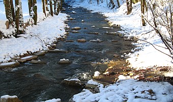 Fischaufstieg unterhalb Schlüsselklinik