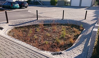 Regenwasserversickerung im Baugebiet Kreuzler