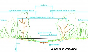 Ersatz einer Verdolung durch naturnahen Gewässerausbau 