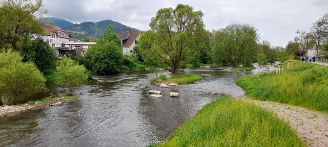 Willkommen bei HIPP UND PELLKOFER - <br />Ihre Partner für Tief-/Wasserbau und Gewässer-/Ökologie