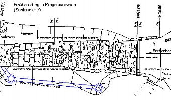 Fischaufstieg am Brettenbach