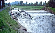 Fischaufstieg am Elzwehr Kollmarsreute/Emmendingen