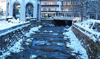 Fischaufstieg beim Wassertempel