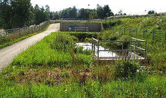 Bodenfilterbecken mit vorgeschaltetem Regenrückhaltebecken an der B 31 bei Titisee-Neustadt