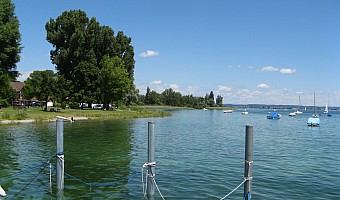 Ufer in Gaienhofen nach der Renaturierung